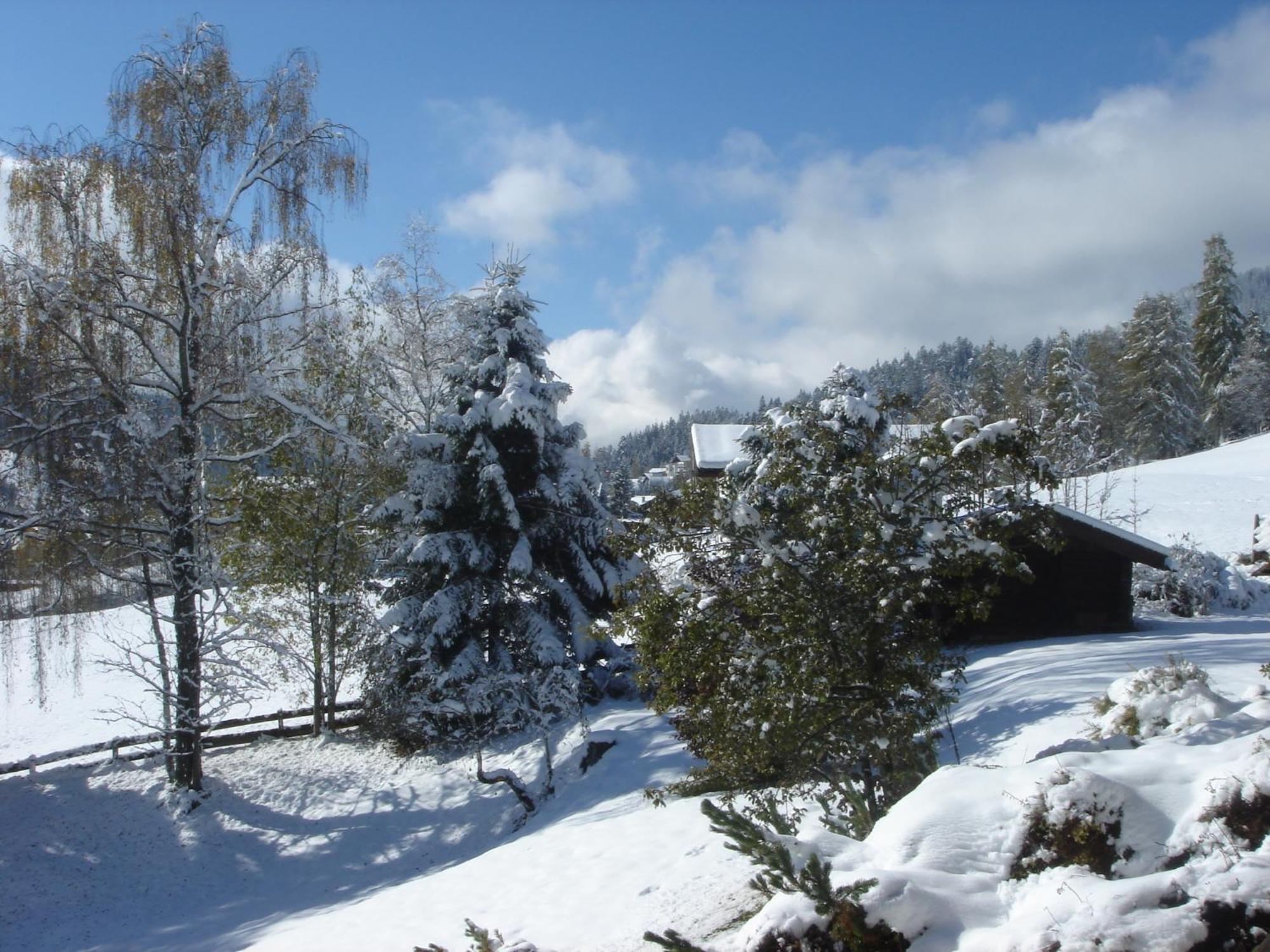 Landhaus Frenes Apartments Seefeld in Tirol Ngoại thất bức ảnh