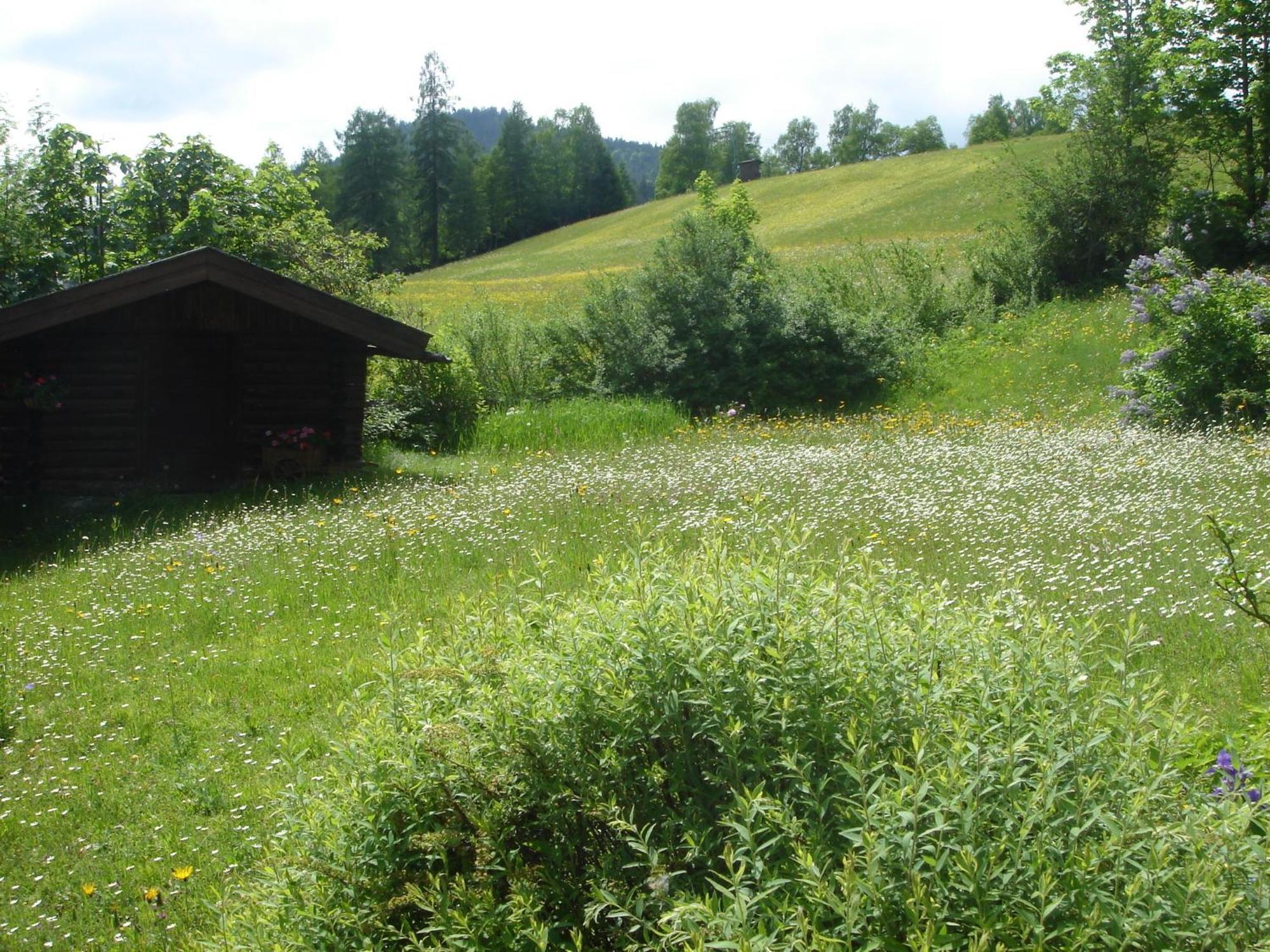 Landhaus Frenes Apartments Seefeld in Tirol Ngoại thất bức ảnh